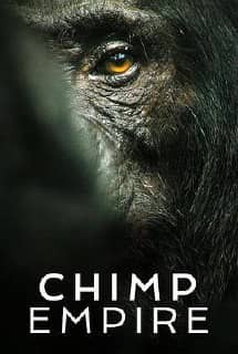 黑猩猩帝国 (2023) 纪录片 外挂简中 1080P