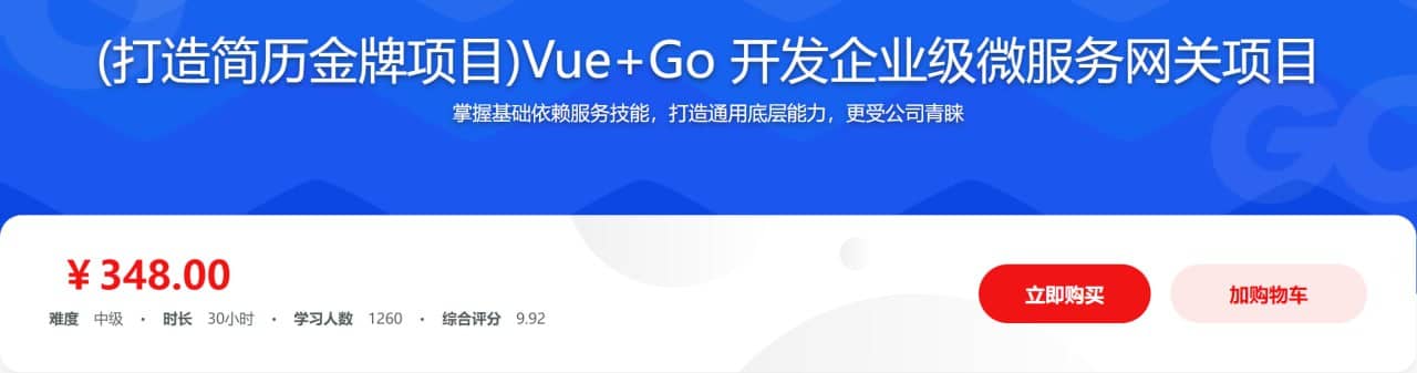 资源Vue+Go 开发企业级微服务网关项目