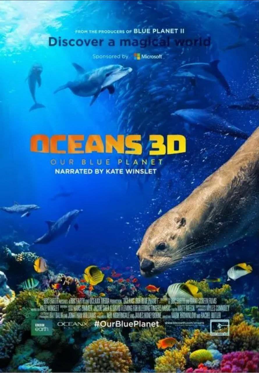 海洋：我们的蓝色星球(2018) 4K HDR