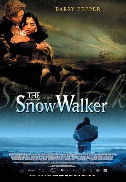 飞机半路没油坠落，一男一女流落北极荒原，2003年高分电影《雪行者》