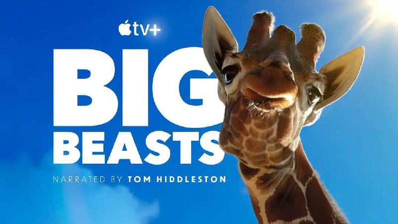 巨兽 Big Beasts (2023) 2160p HDR 内封多国语 [高分纪录片]