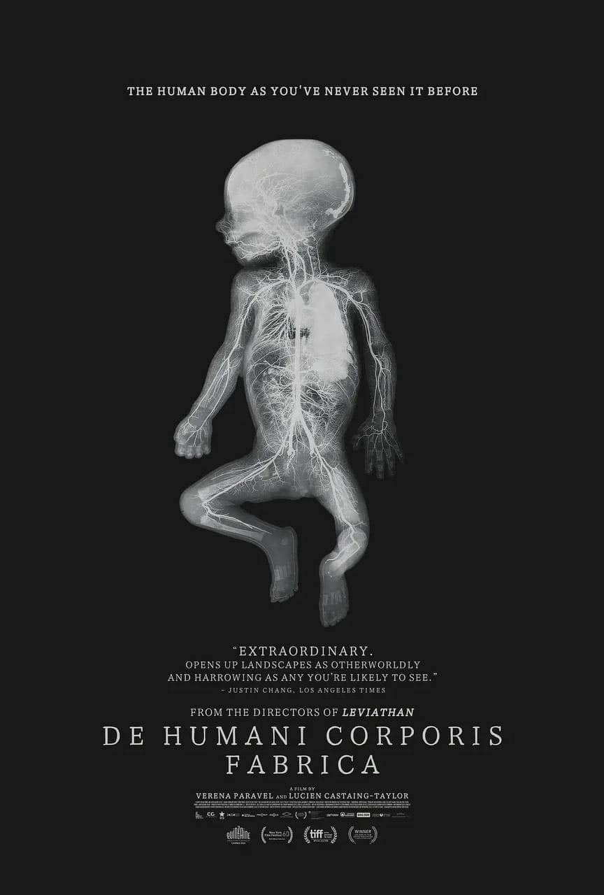 人体结构 (2022) 纪录片