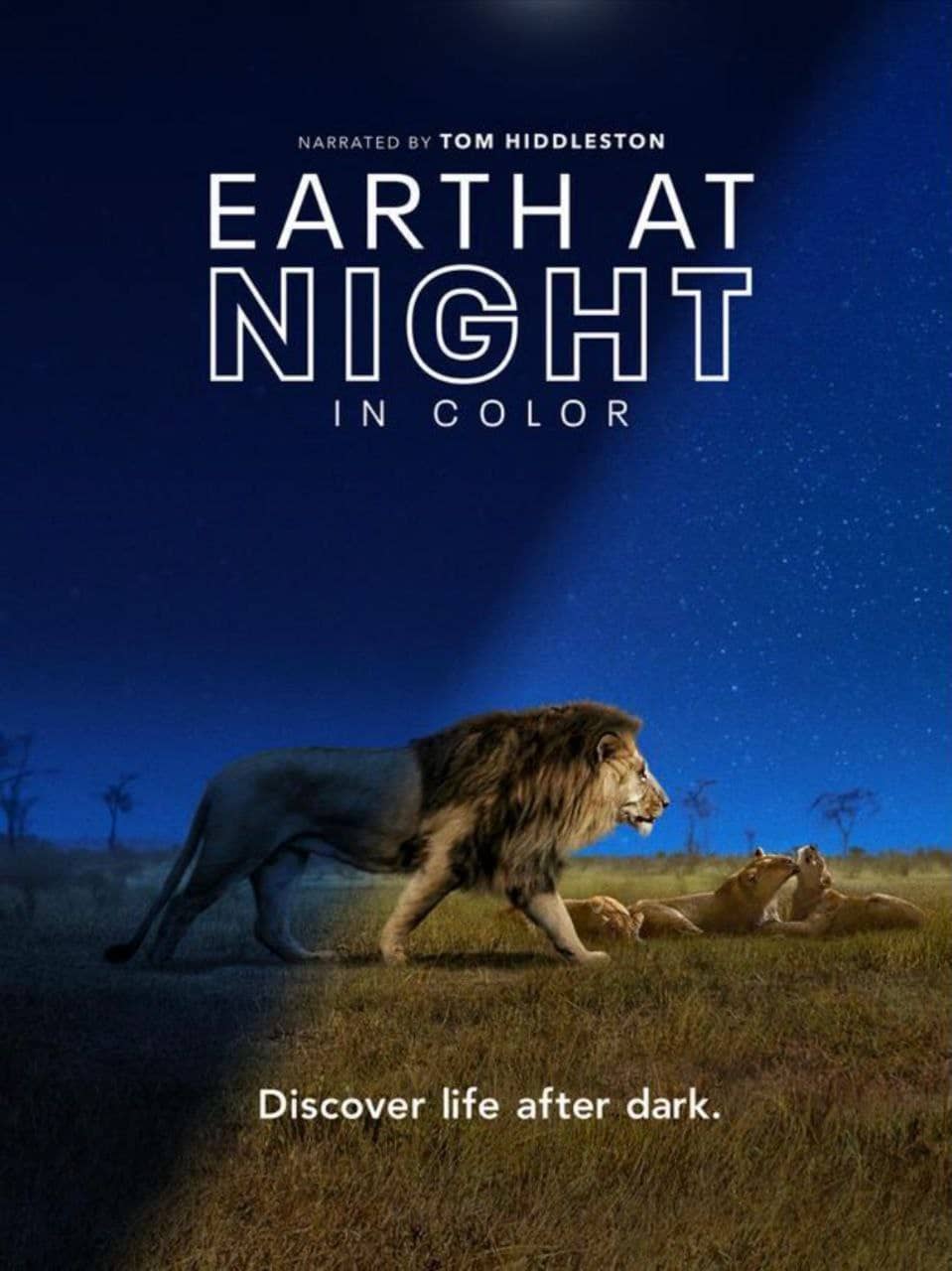夜色中的地球 S1 (2020) 4K HDR 中字外挂字幕