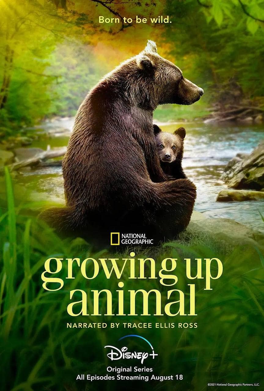 动物成长 (2021) 高分纪录片 1080p 内封多字幕