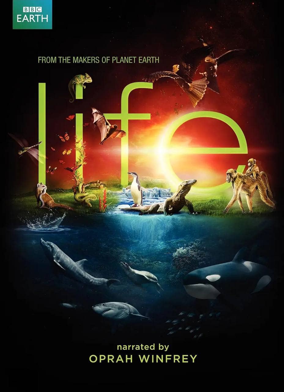 生命 Life (2009) 高分纪录片 1080p BluRay 高码率 外挂简中