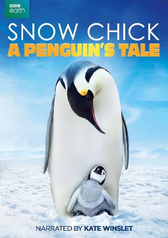 帝企鹅宝宝的生命轮回之旅 (2015) 高分纪录片 1080p 外挂双语