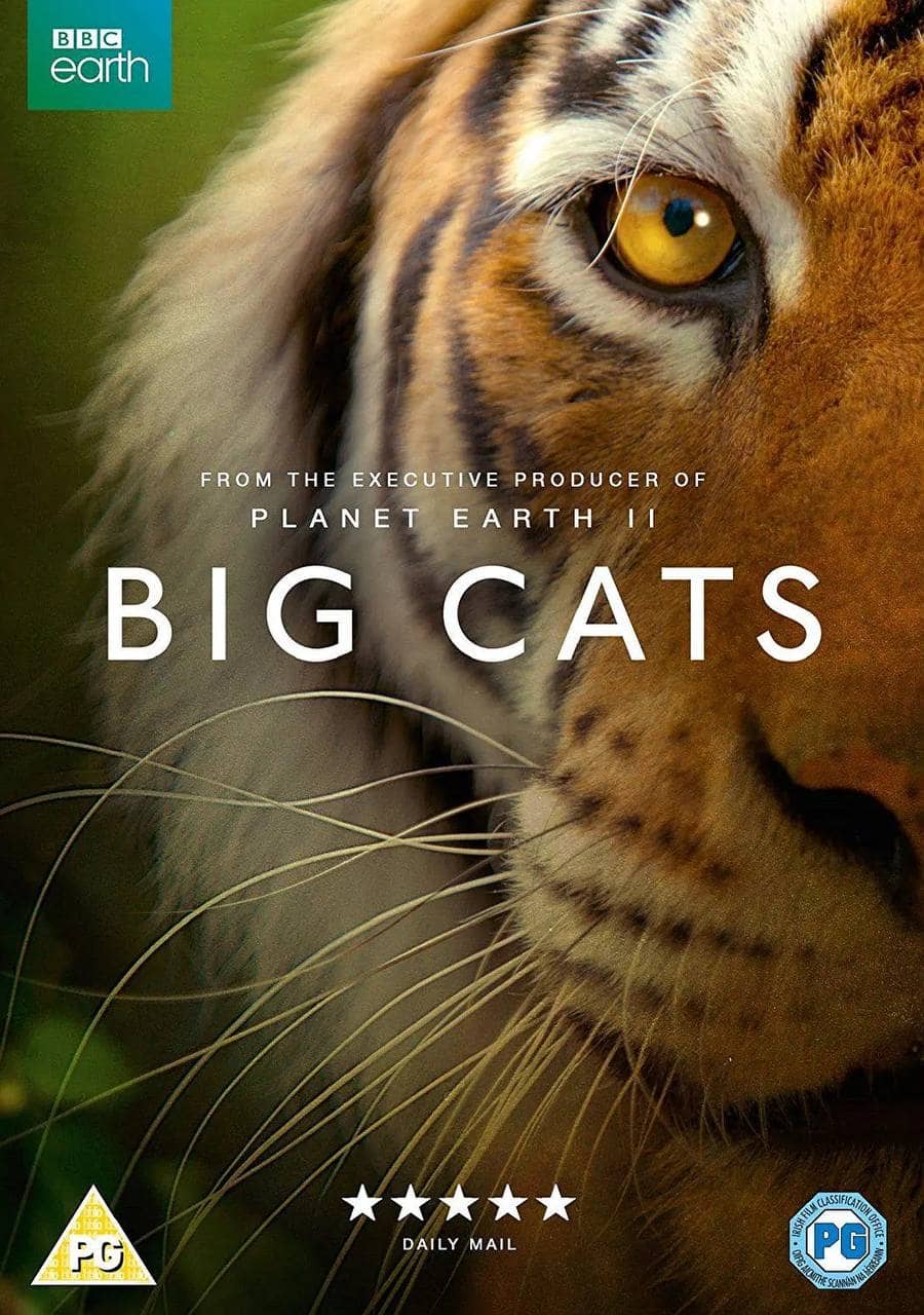 大猫 Big Cata (2018) 高分纪录片 1080p 双语字幕