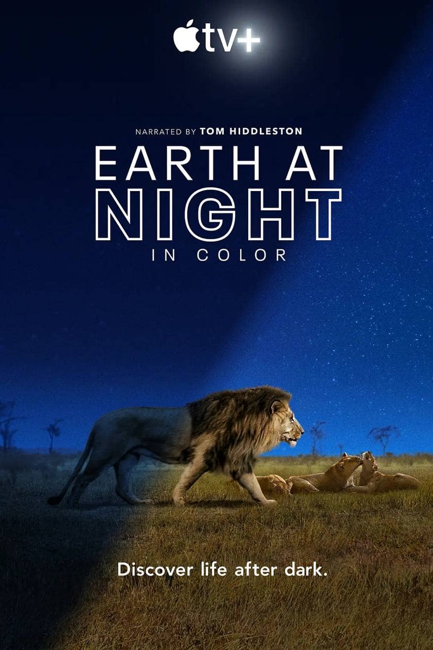 夜色中的地球 (2020) S01 2160p HDR 内封多国语【高分纪录片】