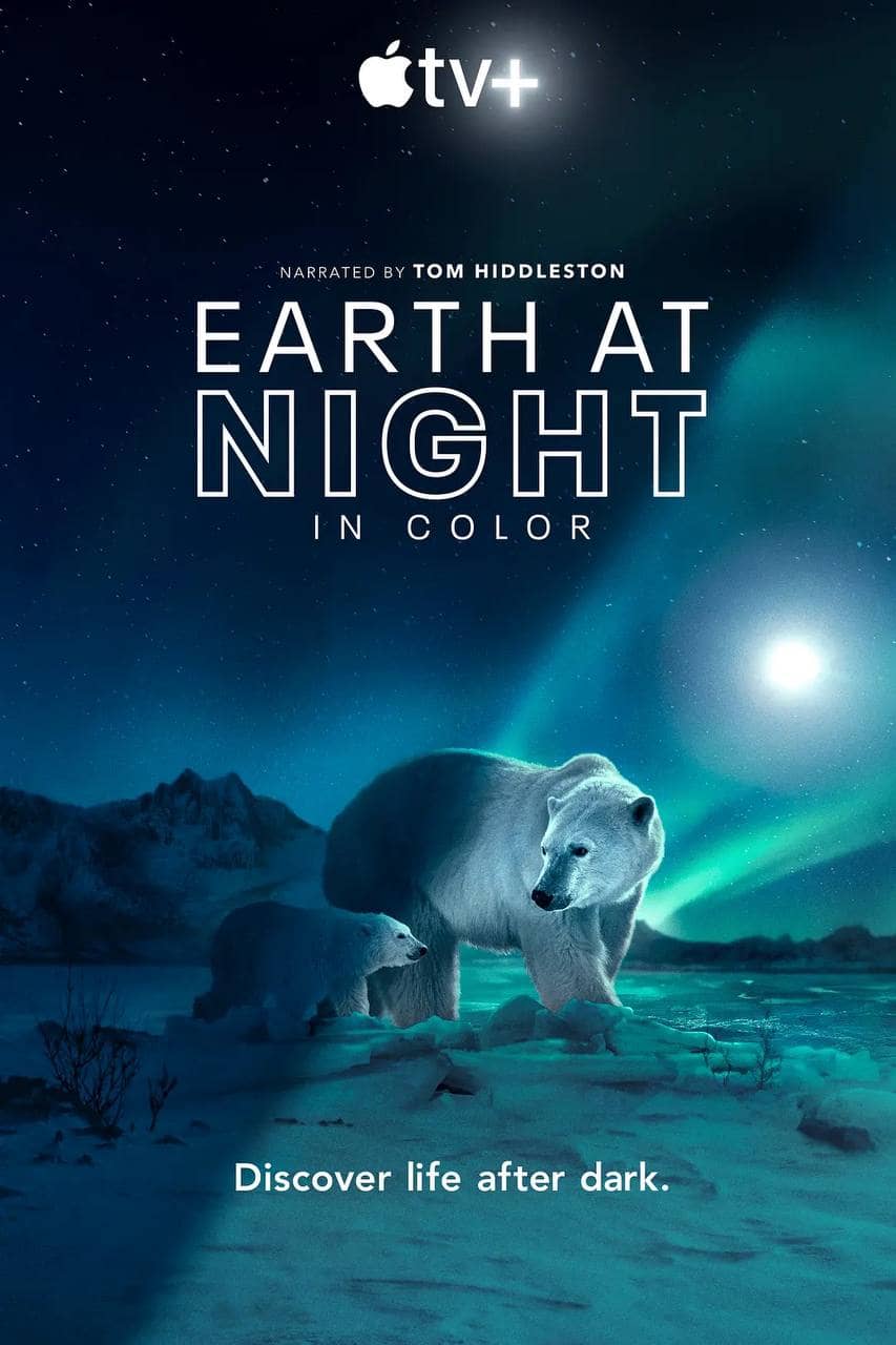 夜色中的地球 (2021) S02 2160p HDR 内封多国语【高分纪录片】