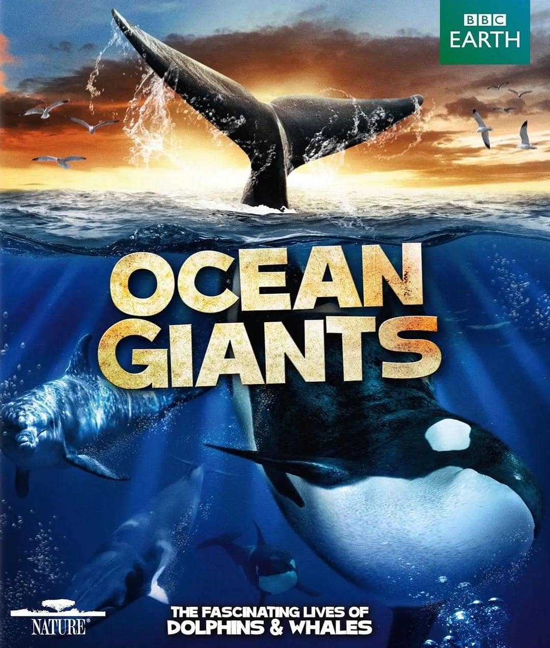 海洋巨兽 (2011) 高分纪录片 1080p 双语字幕
