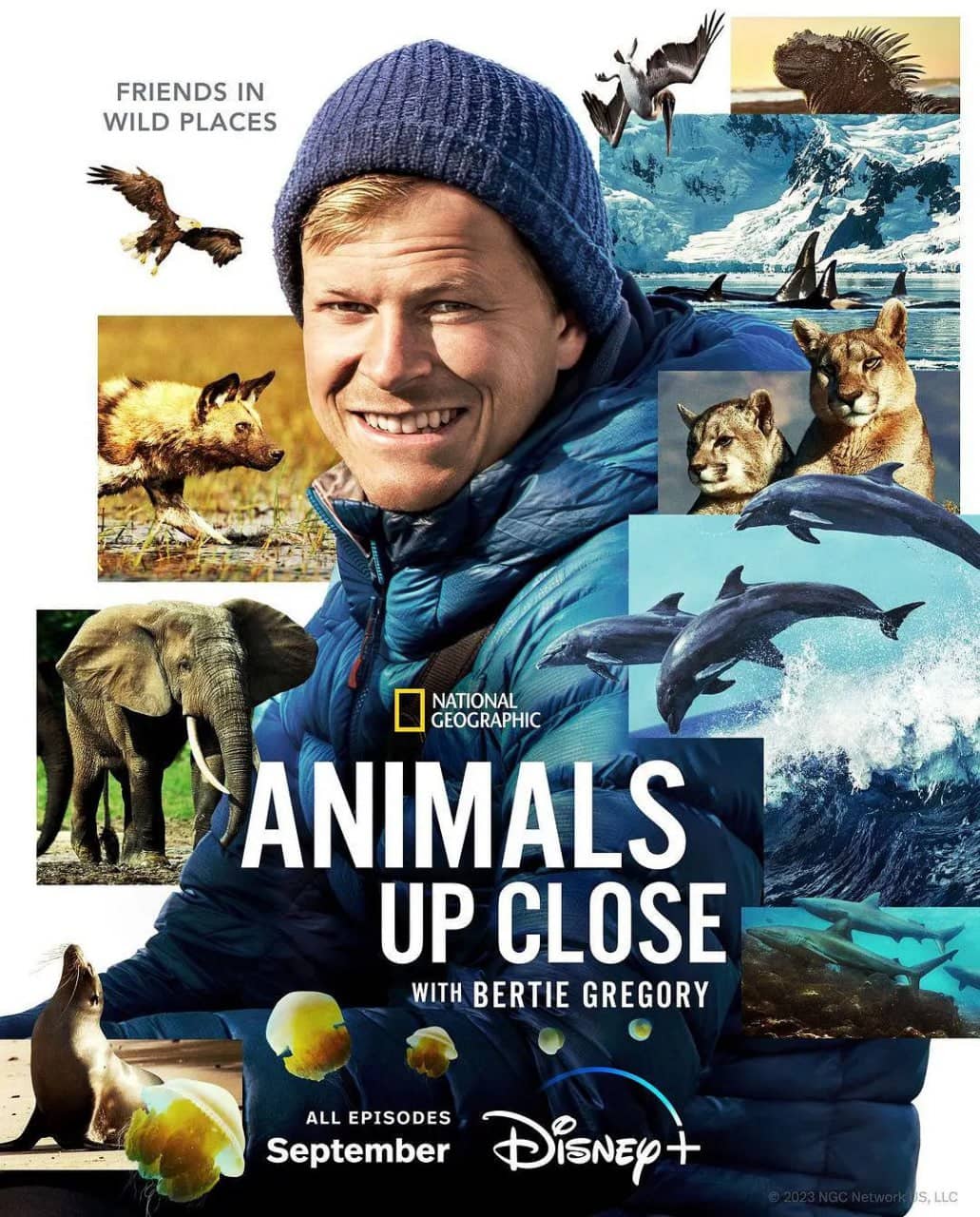 贝尔蒂·格雷戈里：与动物零距离 Animals Up Close with Bertie Gregory (2023) 1080/4K 6集完结