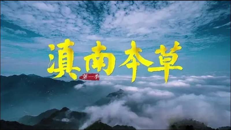 滇南本草 (2021) 纪录片 1080p 国语中字