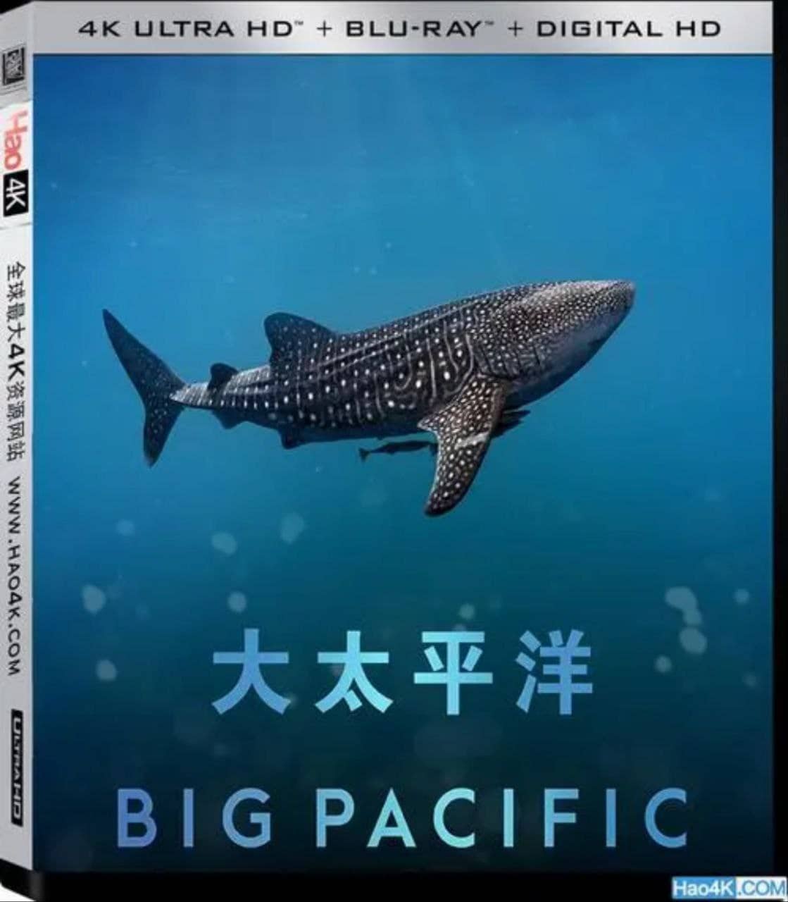 大太平洋 (2017) 4K REMUX (蓝光 原盘) 中字外挂字幕