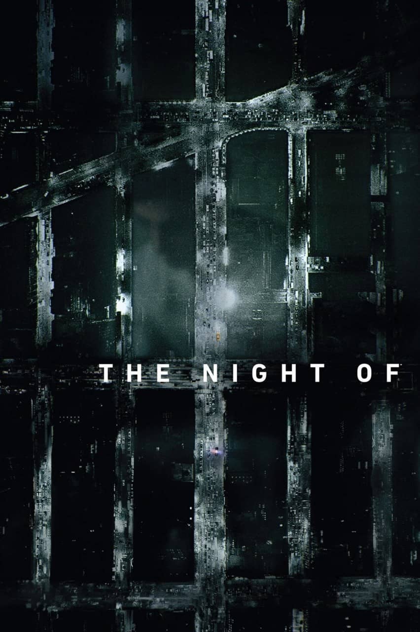 罪夜之奔 The Night Of (2016) 1080p REMUX 原盘 内封简中【高分美剧】【刮削】