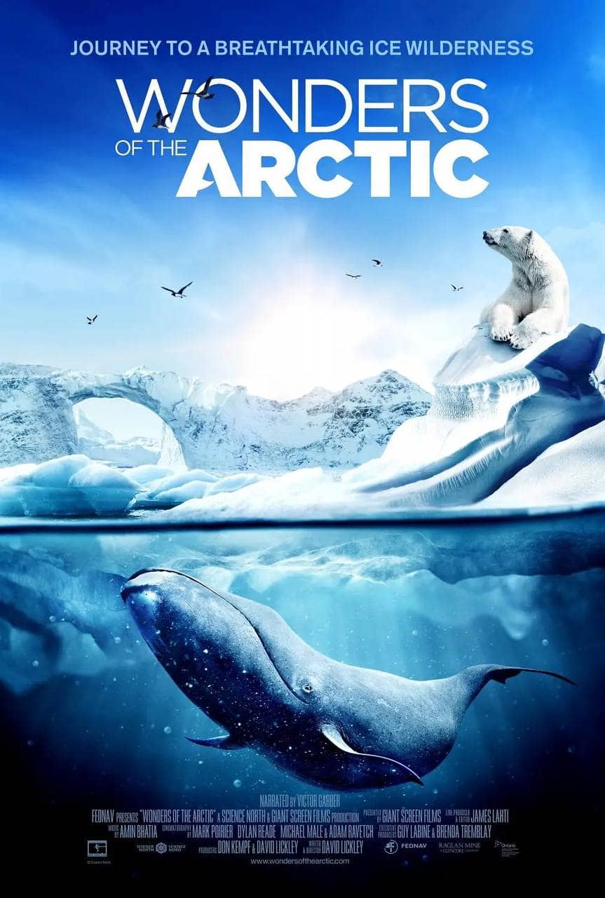 北极奇观 (2014) 2160p BluRay REMUX 原盘 外挂双语【纪录片】