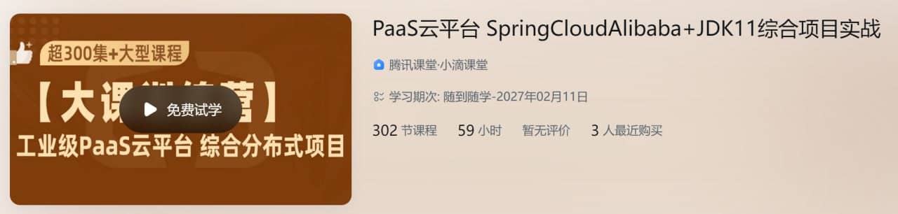 PaaS云平台 SpringCloudAlibaba+JDK11综合项目实战