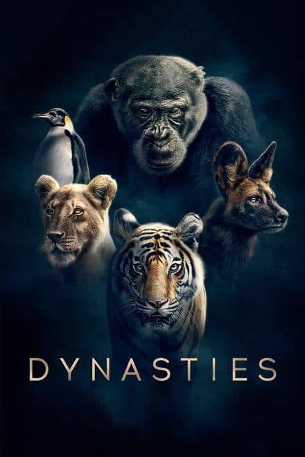 王朝 Dynasties (2018) 两季全✨【2160p.HDR】【蓝光原盘】13G/集