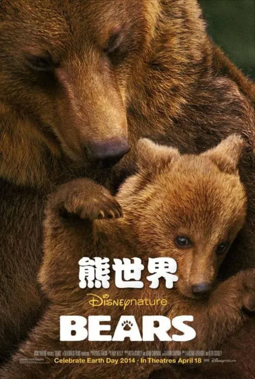熊世界 (2014) 1080P REMUX(蓝光 原盘) 中英外挂字幕