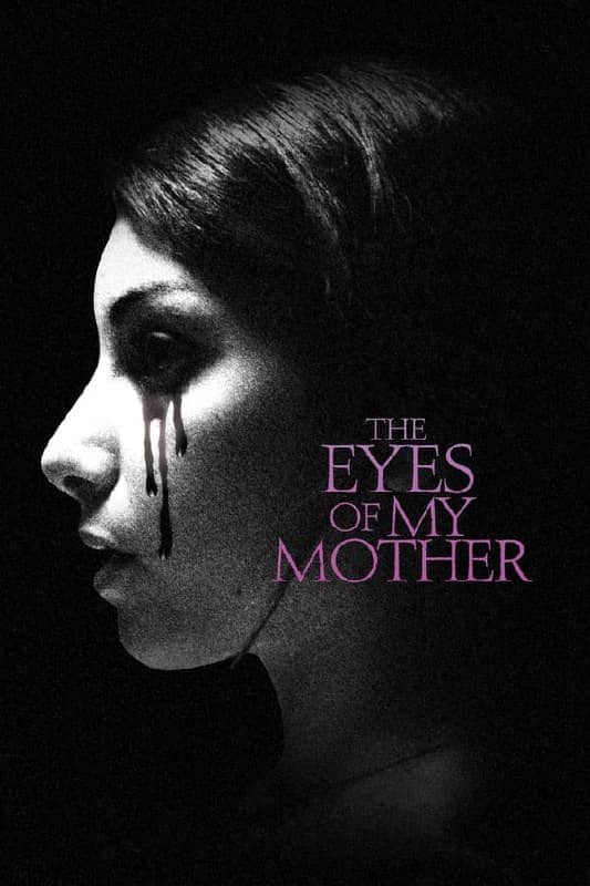 母亲的双眼(2016) 1080P REMUX 外挂中字