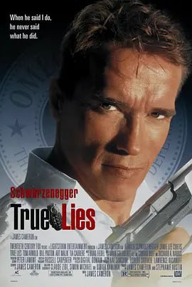 真实的谎言 True Lies (1994)   个人压制中英字幕 蓝光片源压制