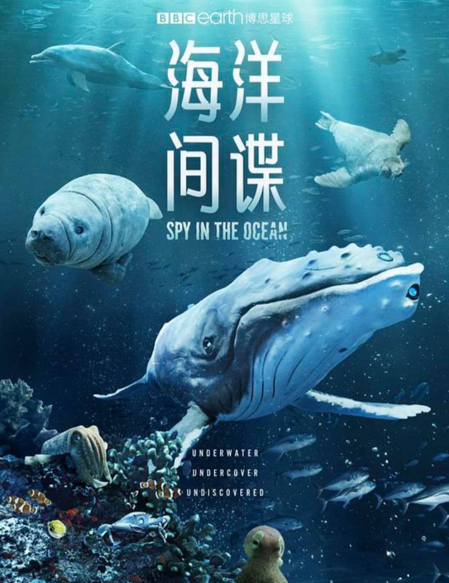 海洋间谍 (2023) 1080P 中字硬字幕