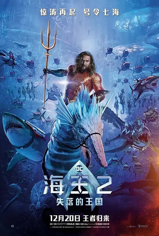 海王2：失落的王国 Aquaman and the Lost Kingdom (2023)