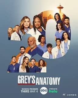 实习医生格蕾 第二十季 Grey’s Anatomy Season 20 (2024) 更1