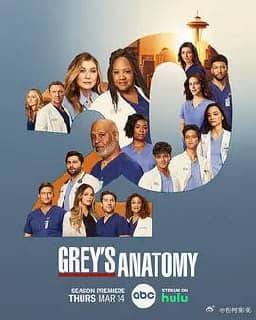 实习医生格蕾 第二十季 Grey’s Anatomy Season 20 (2024) 更2