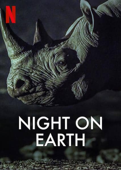 纪录片《地球的夜晚》 S01 (2020) 1080P 全6集 外挂中文字幕