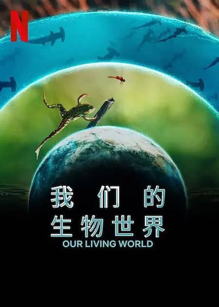 我们的生物世界 Our Living World (2024) 全四集