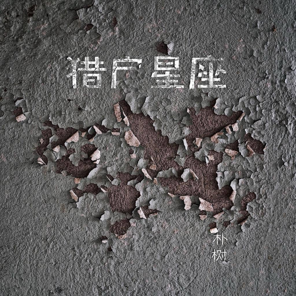 朴树—2017年专辑—猎户星座 WAV