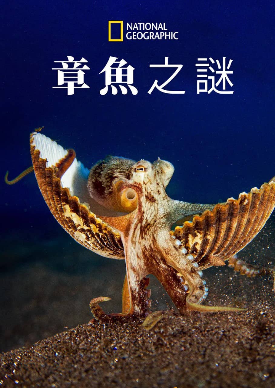 章鱼的秘密 Secrets of the Octopus (2024)