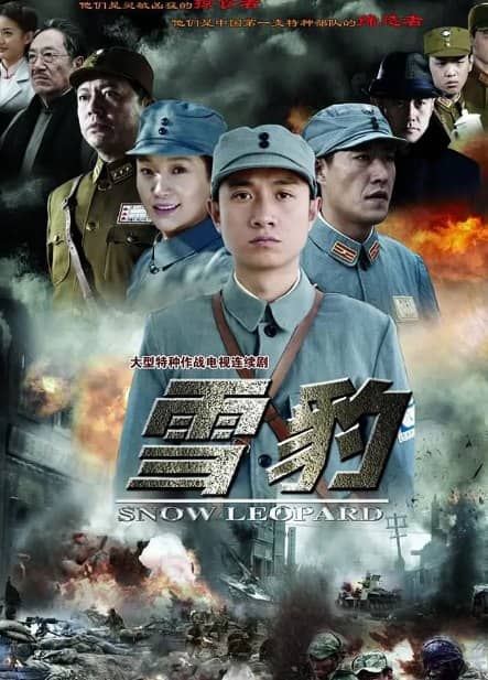 雪豹 (2010) 1080P 国语中字全40集 