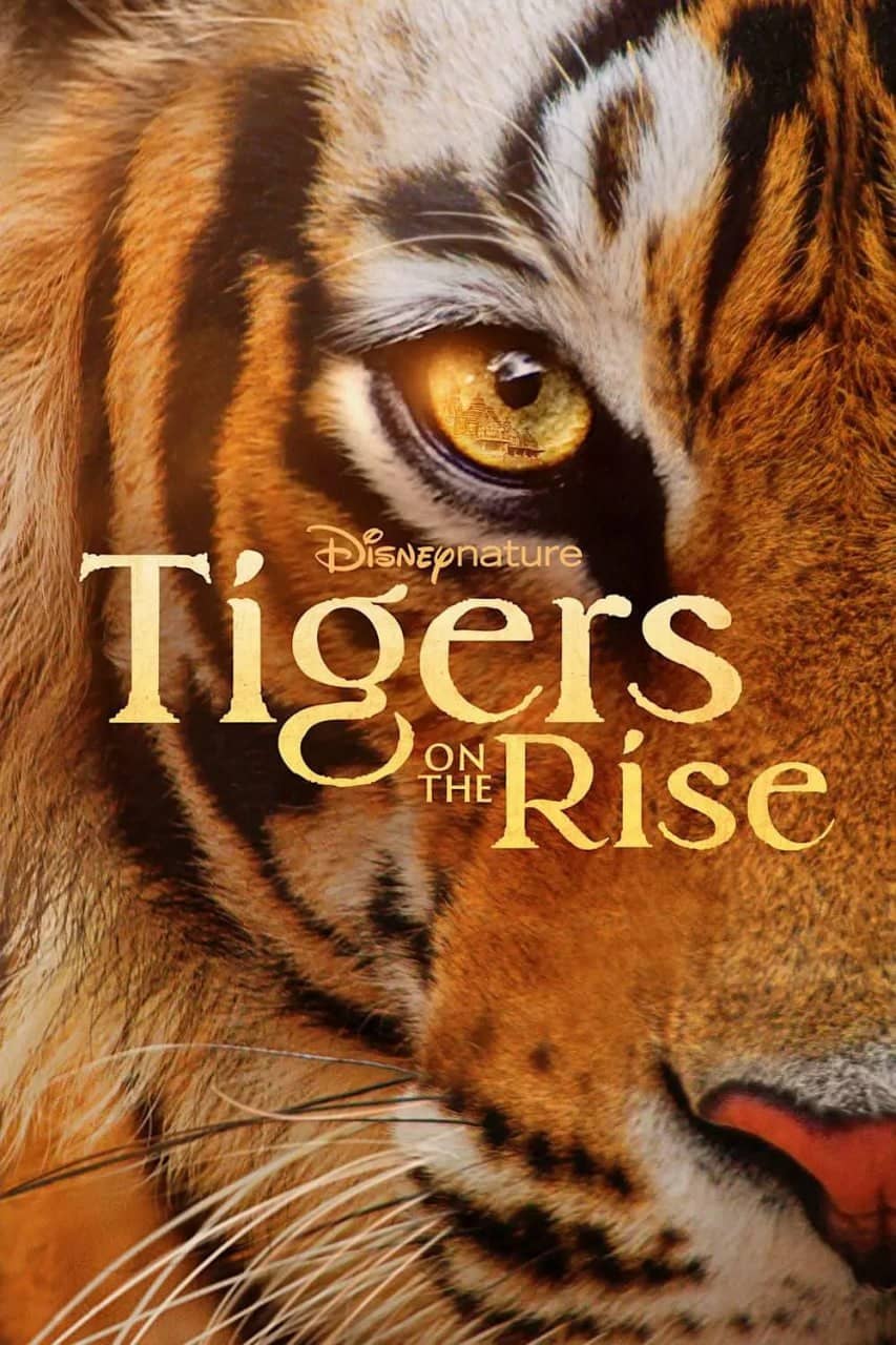 老虎崛起 Tigers on the Rise (2024)