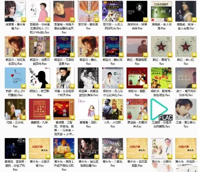 华语歌单 经典老歌  收集319首