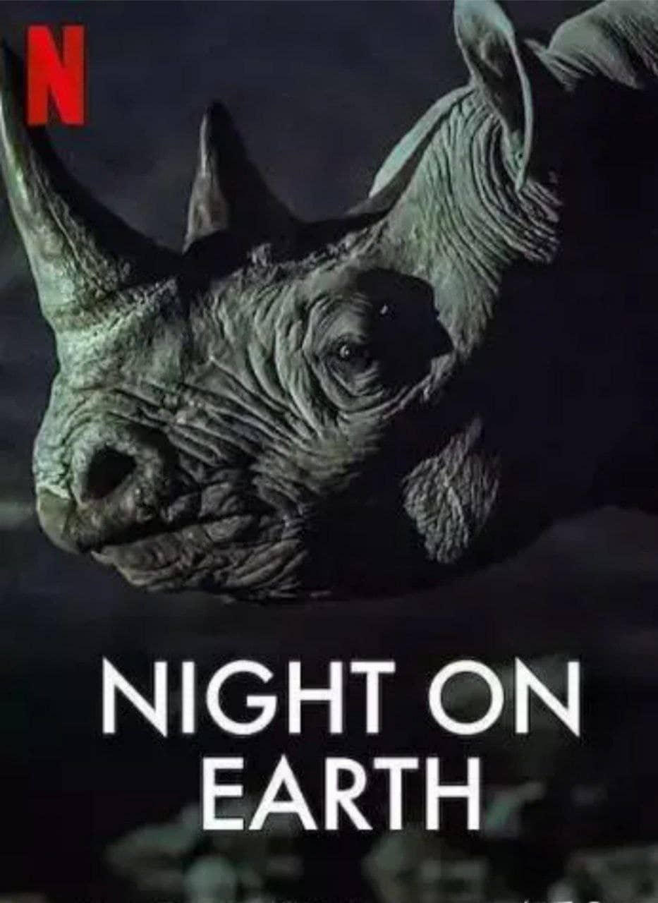 地球的夜晚 S01(2020) 1080P 中字外挂字幕